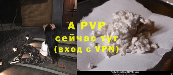 прущие грибы Елабуга