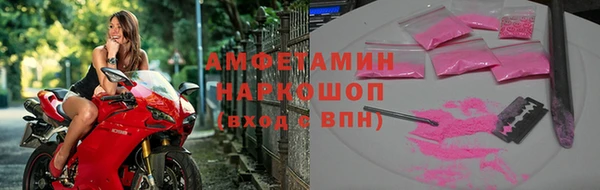 прущие грибы Елабуга