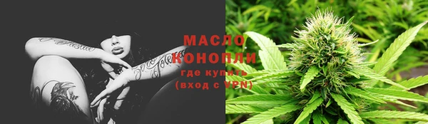 прущие грибы Елабуга