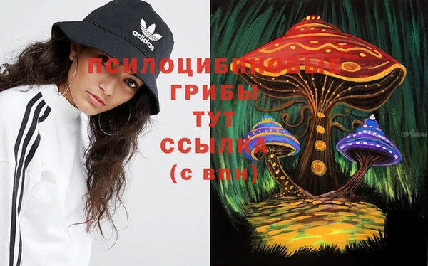 ECSTASY Елизово