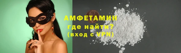 прущие грибы Елабуга