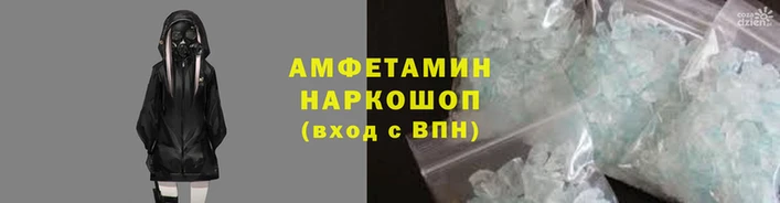 прущие грибы Елабуга