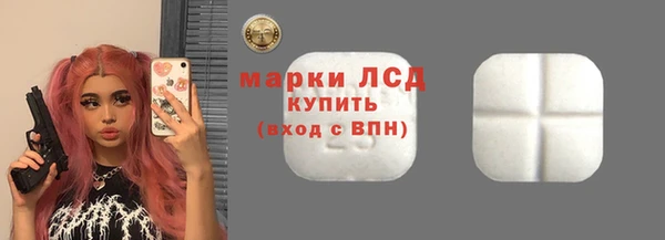 прущие грибы Елабуга