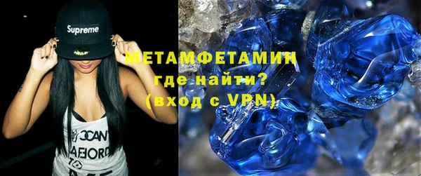 прущие грибы Елабуга