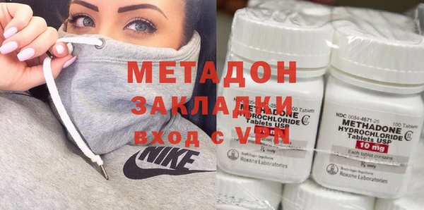 прущие грибы Елабуга
