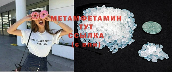 прущие грибы Елабуга
