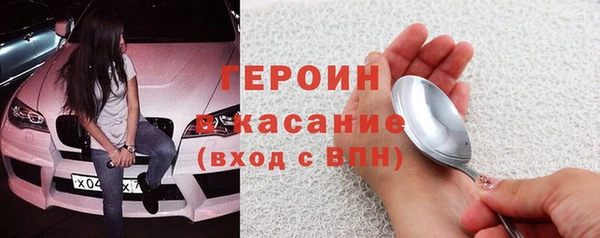 прущие грибы Елабуга
