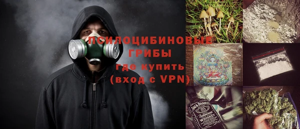 прущие грибы Елабуга
