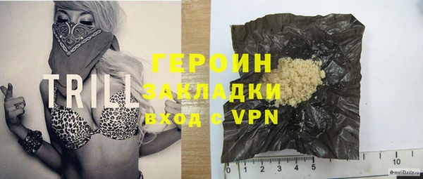 прущие грибы Елабуга